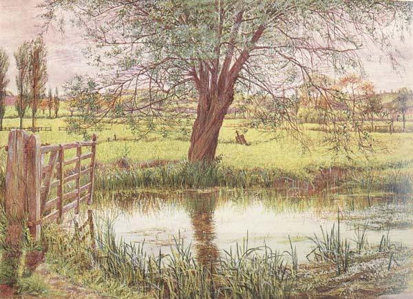 William Bell Scott Landscape with a Gate and Watermeadow (mk46) China oil painting art
